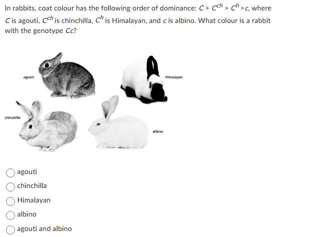 In rabbits, coat colour has the following