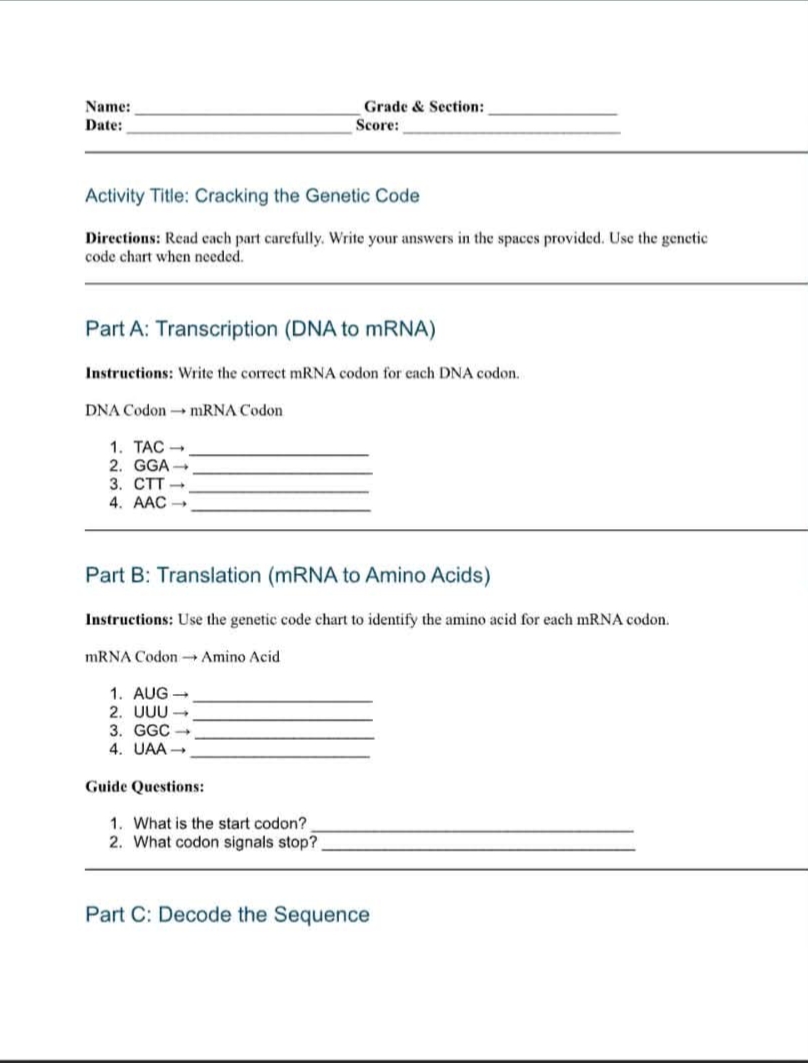 Part A: Transcription (DNA to mRNA) | StudyX