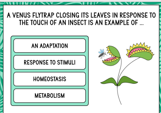 A VENUS FLYTRAP CLOSING ITS LEAVES IN | StudyX