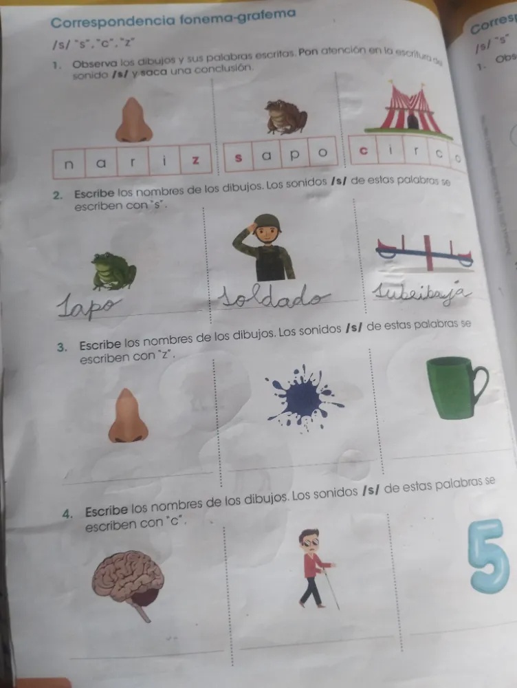 Observa los dibujos y sus palabras escritas. | StudyX