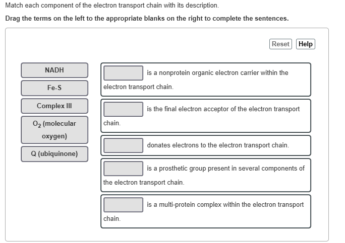 Match each component of the electron