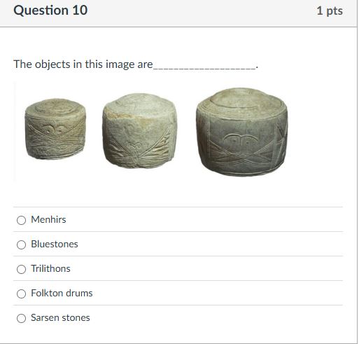The objects in this image are . Menhirs