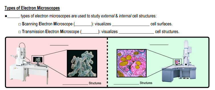 Types of Electron Microscopes types of | StudyX