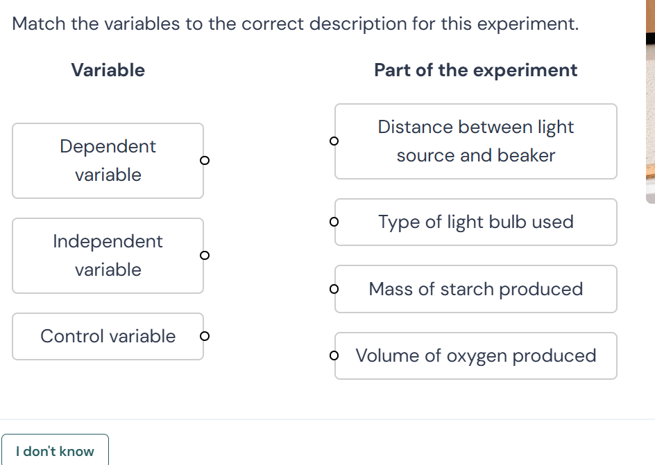 Match the variables to the correct | StudyX