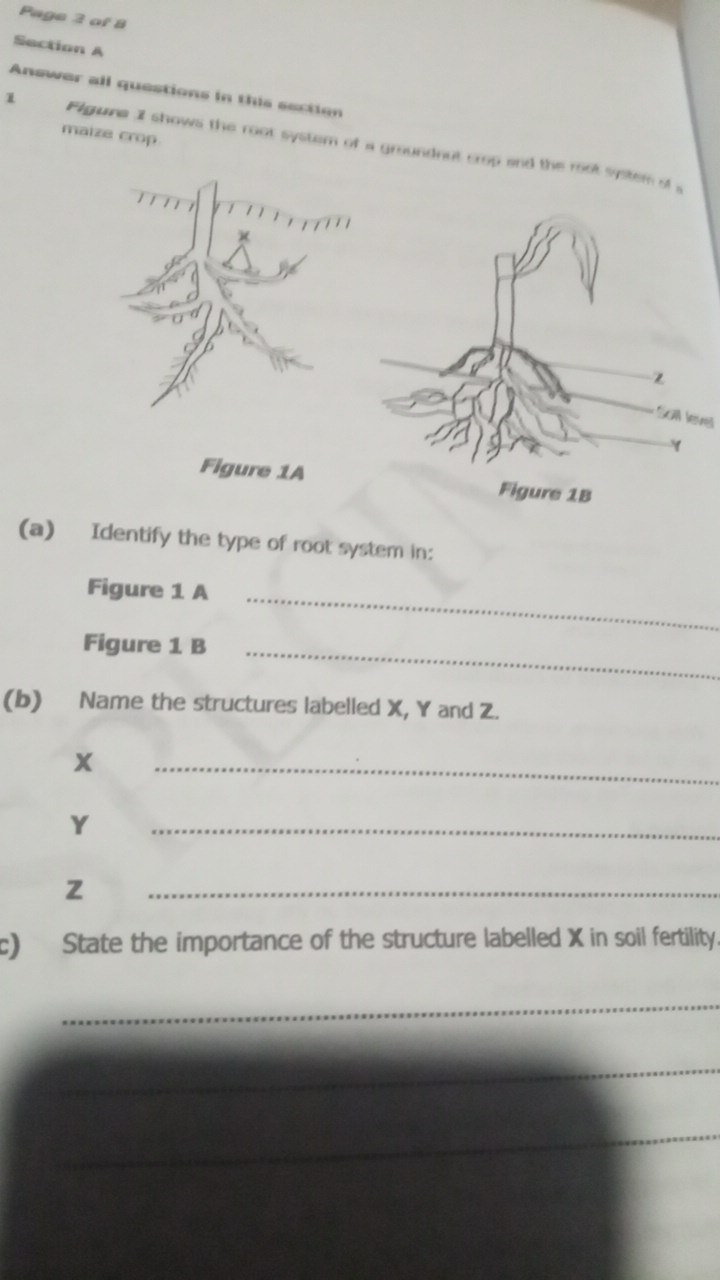 studyx-img