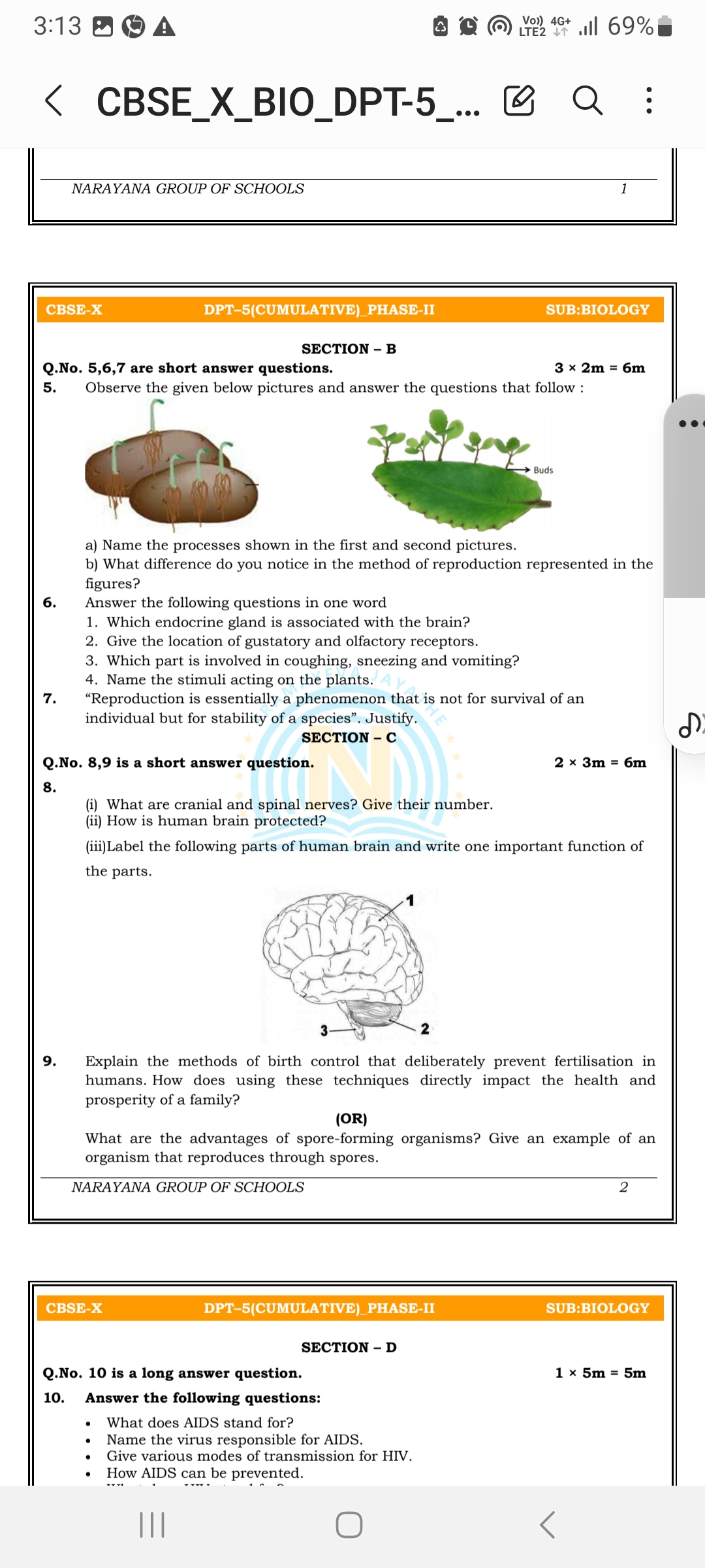 studyx-img