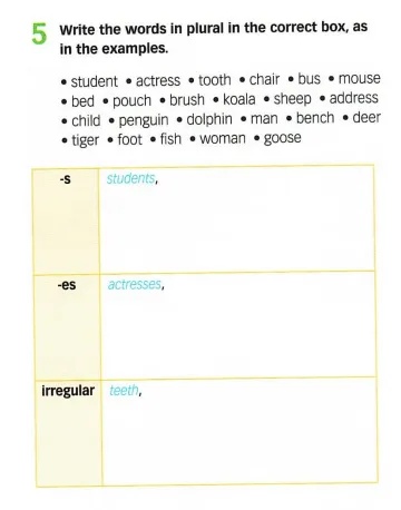 5 Write the words in plural in the correct | StudyX