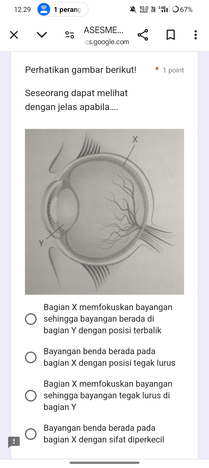 studyx-img