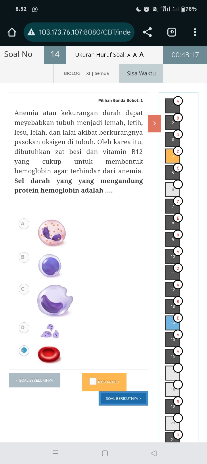 studyx-img