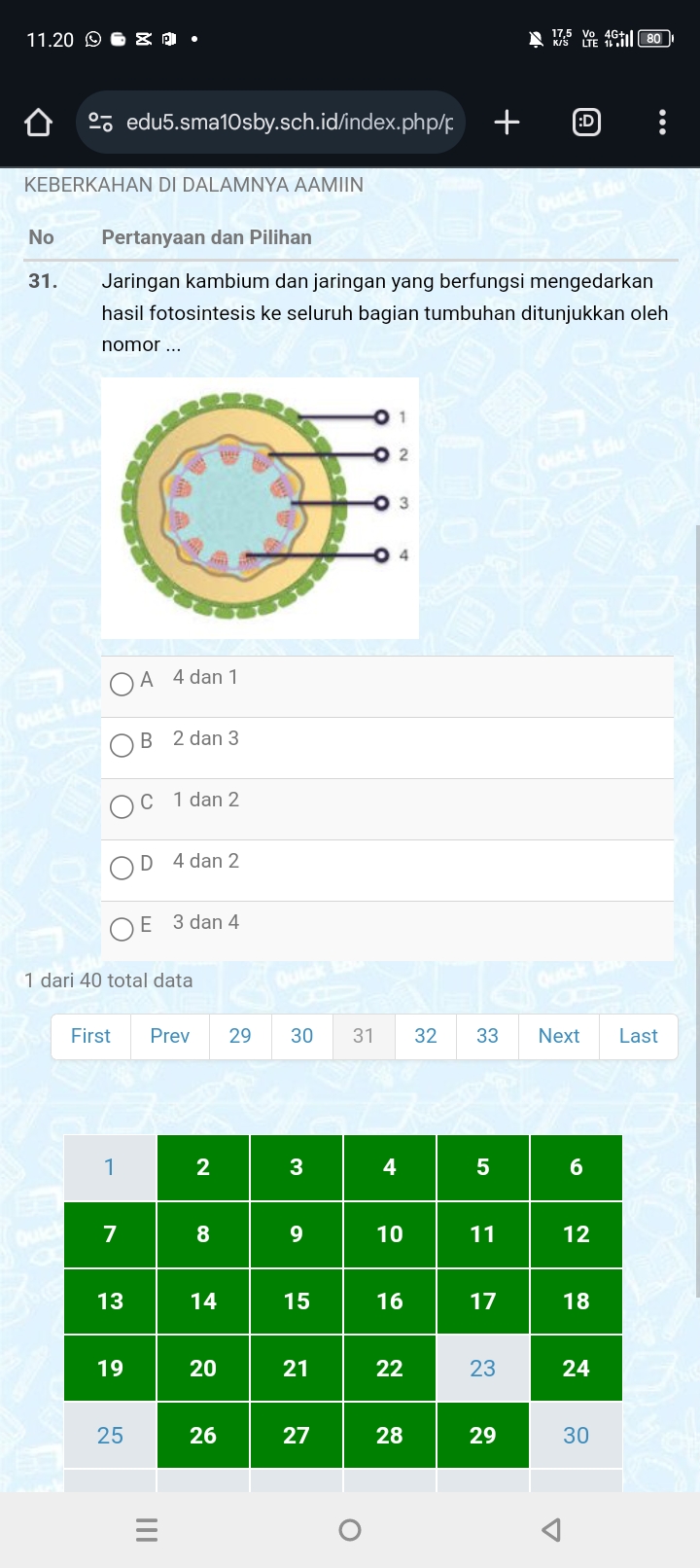 studyx-img