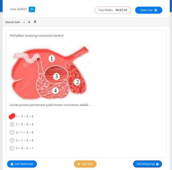 studyx-img