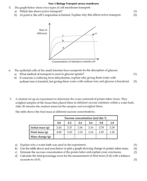 studyx-img