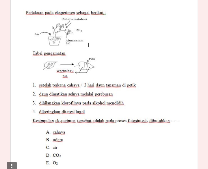 studyx-img