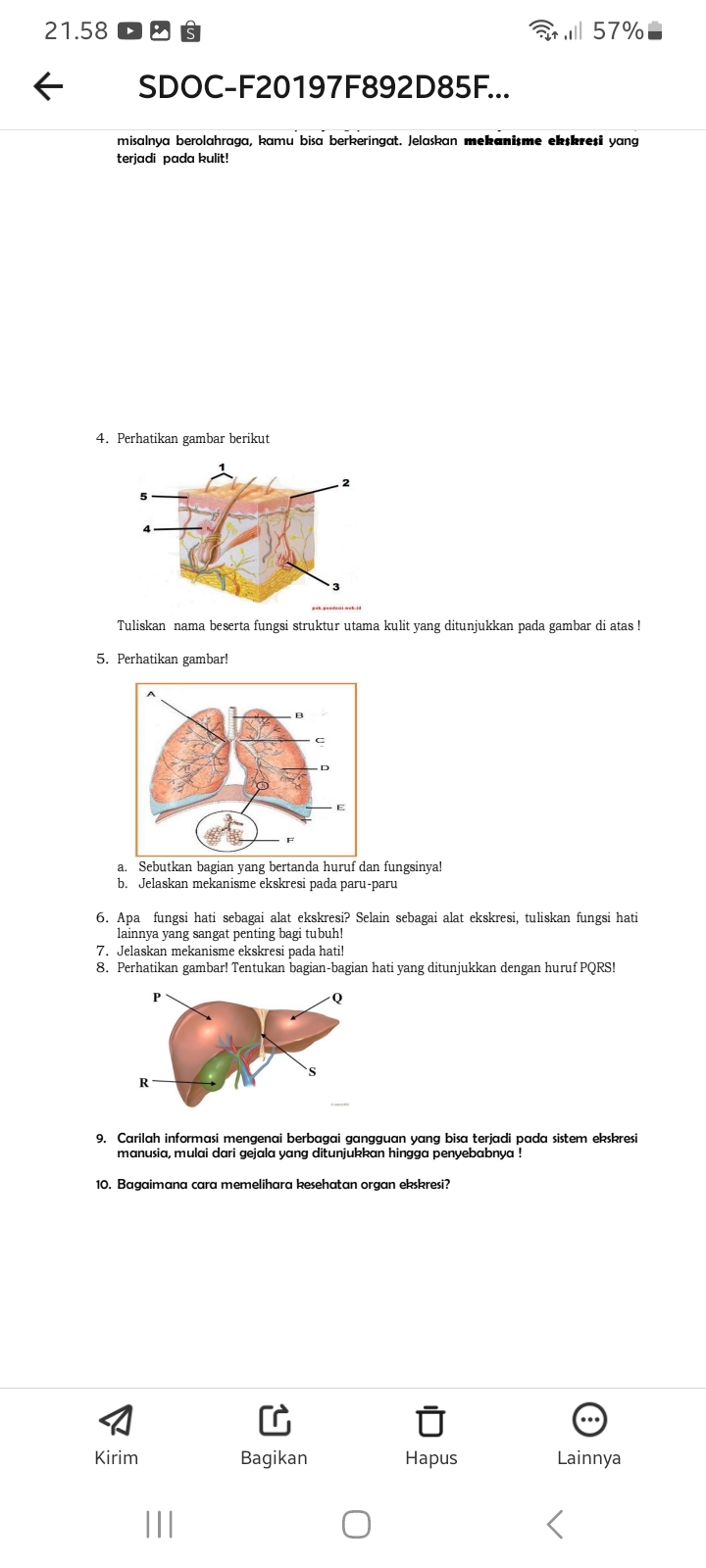 studyx-img