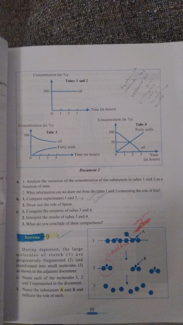 studyx-img