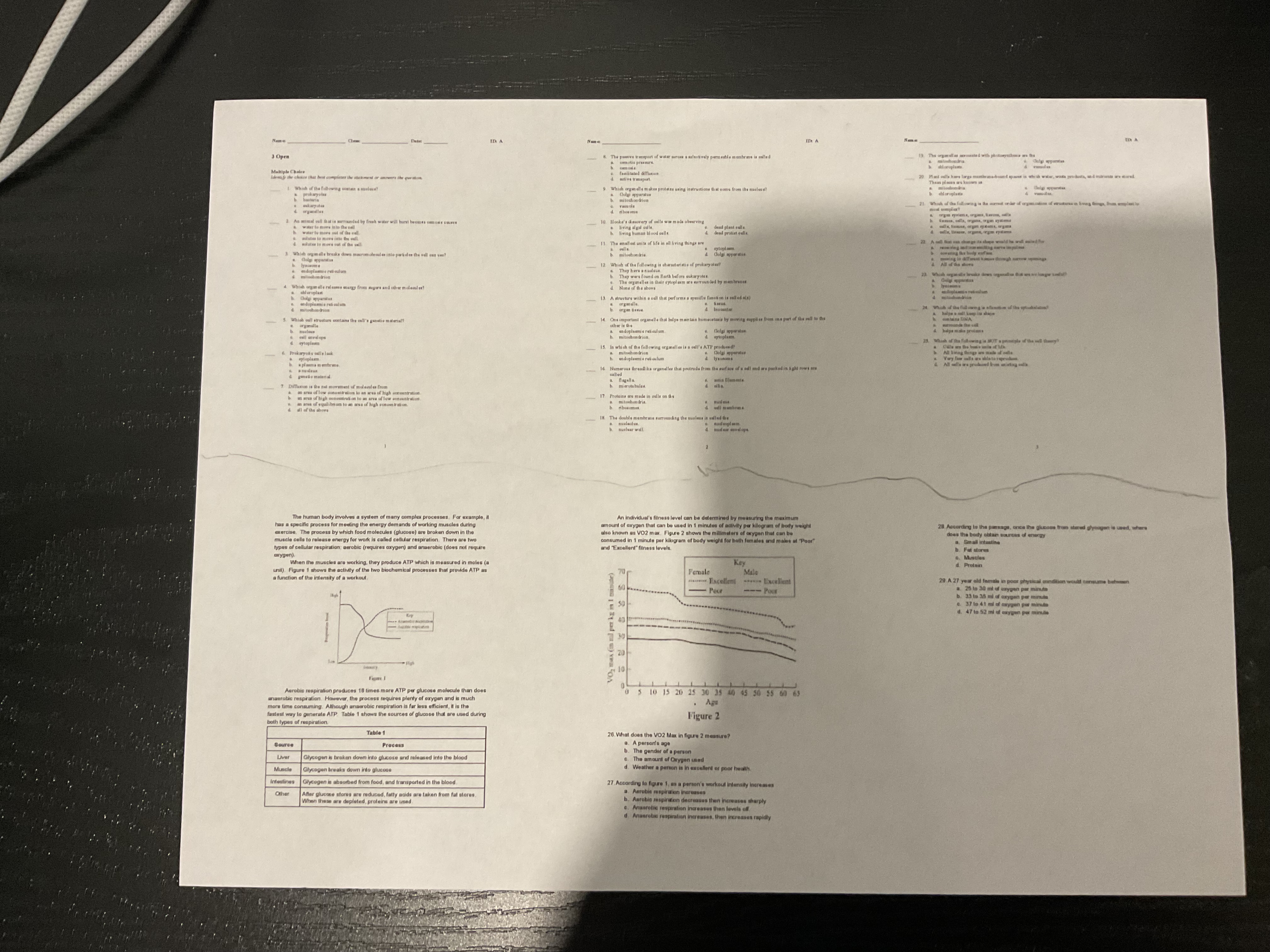 studyx-img