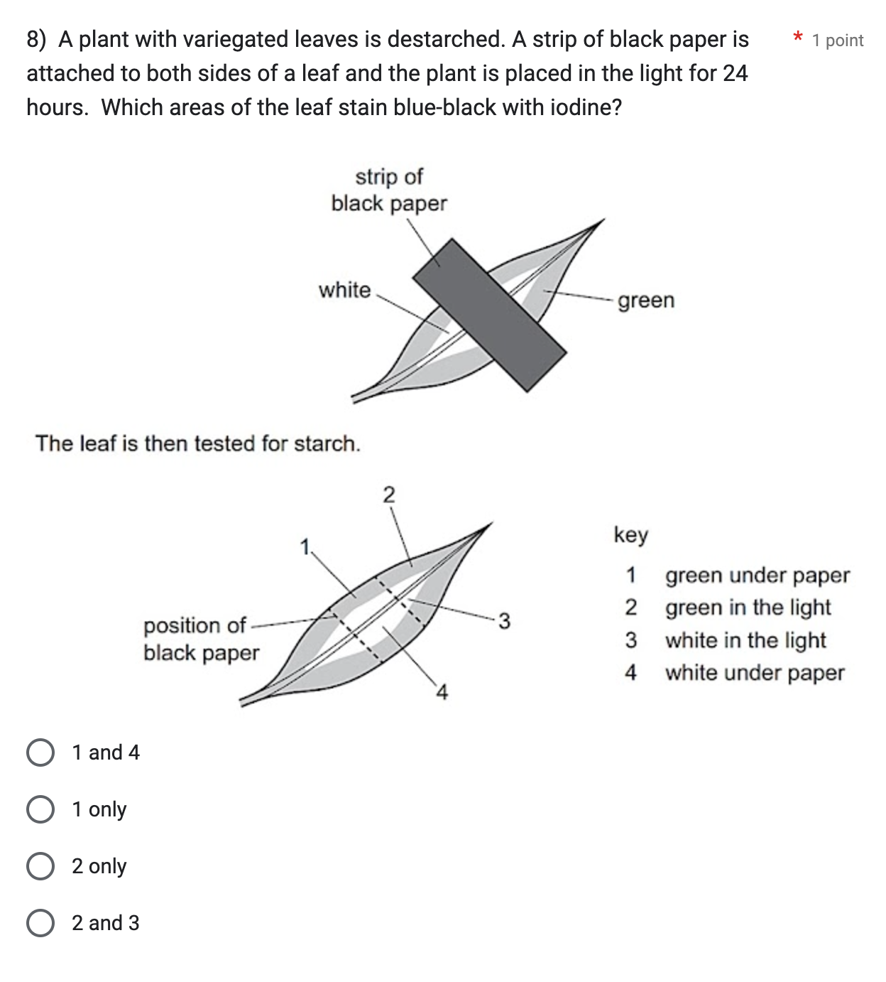 studyx-img