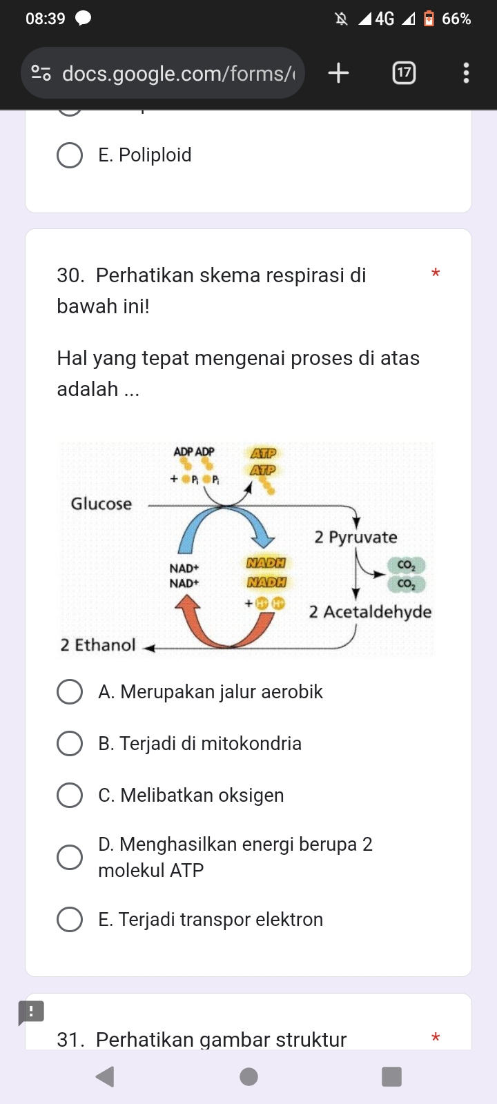 studyx-img