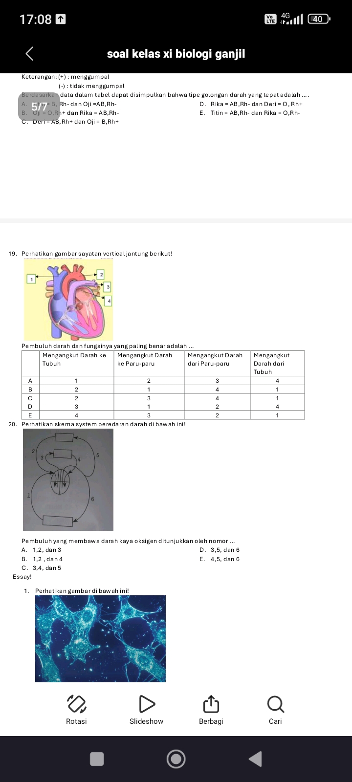 studyx-img