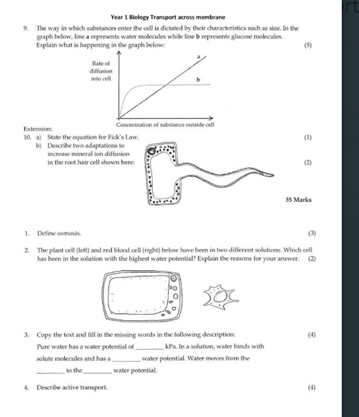 studyx-img