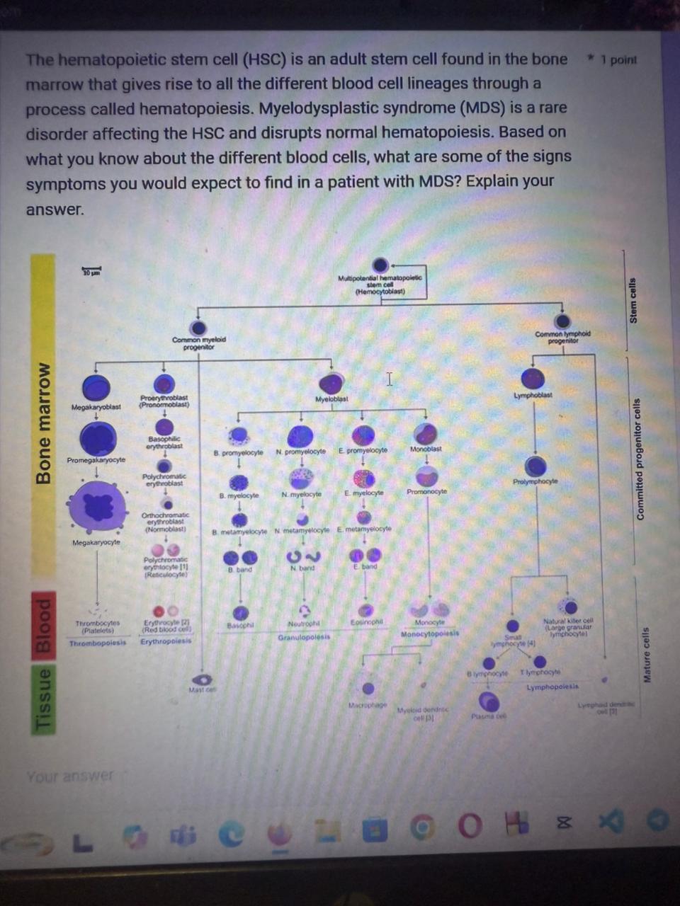 studyx-img