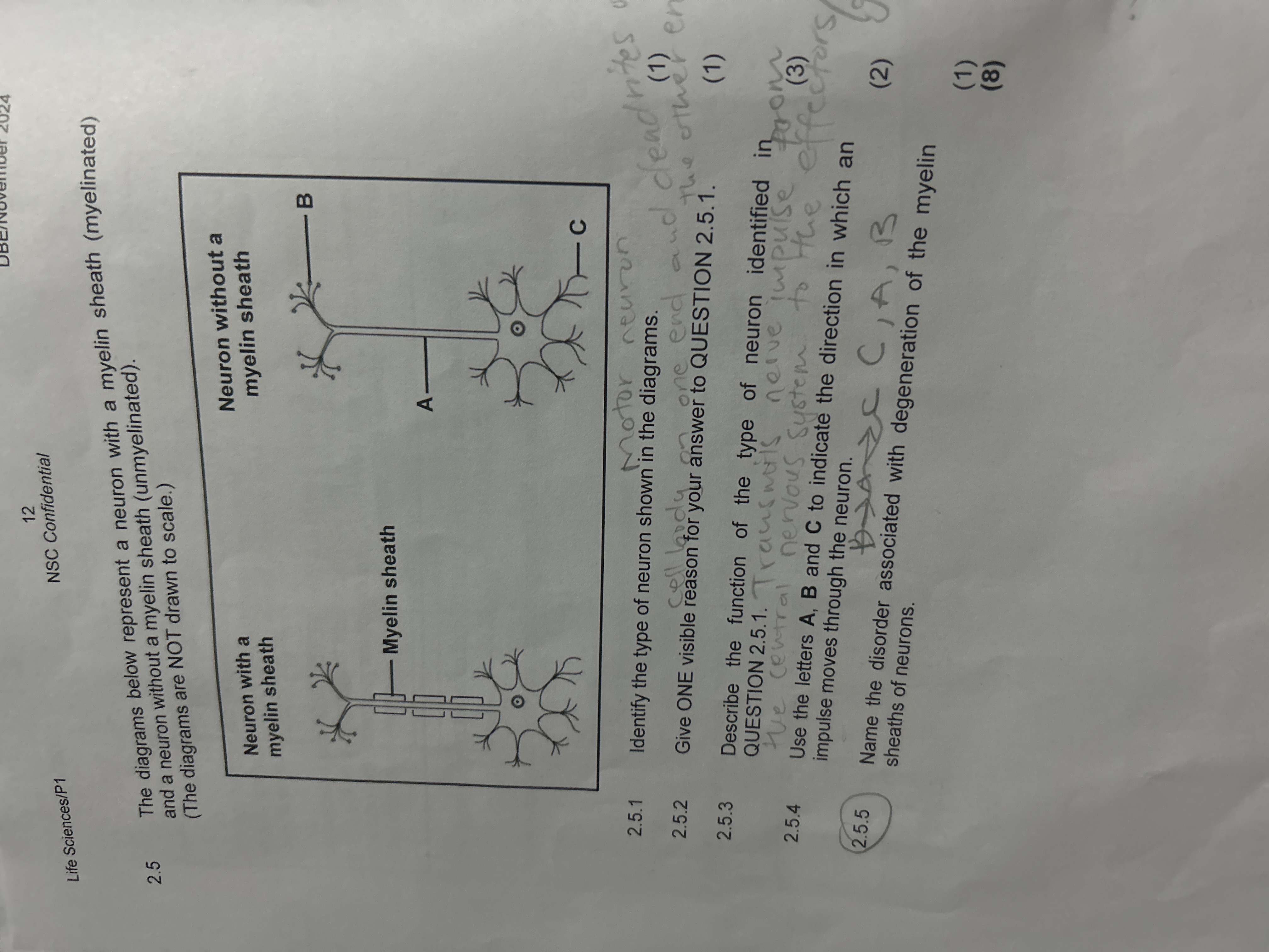 studyx-img