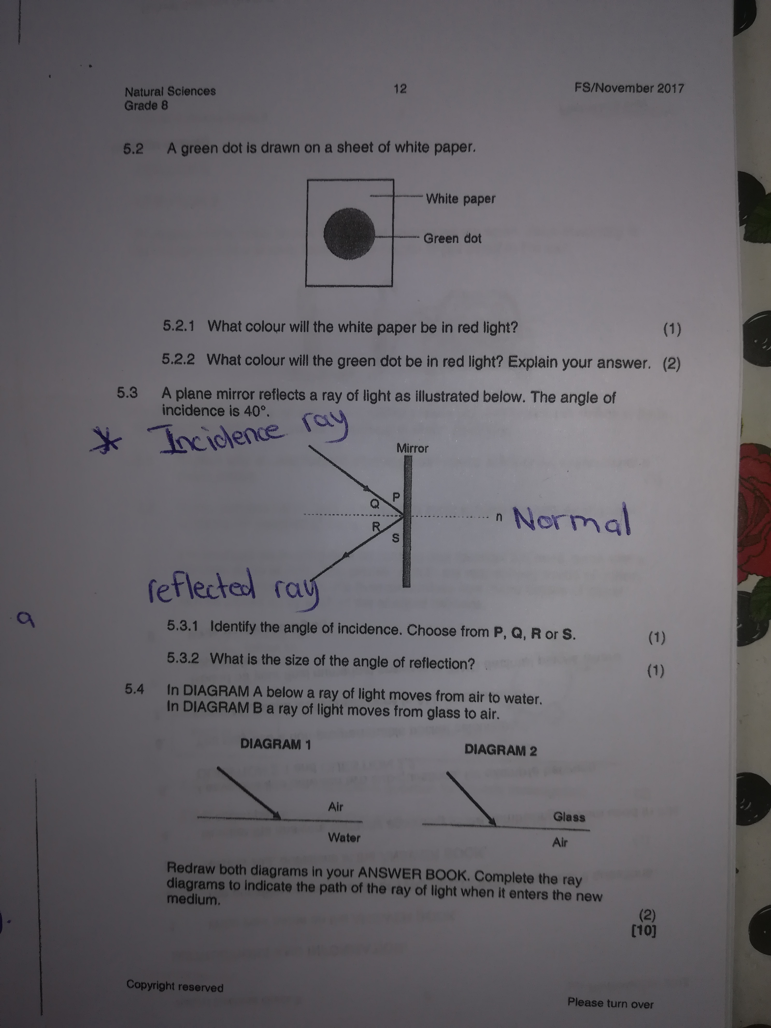 studyx-img