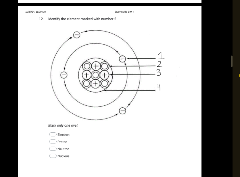 studyx-img