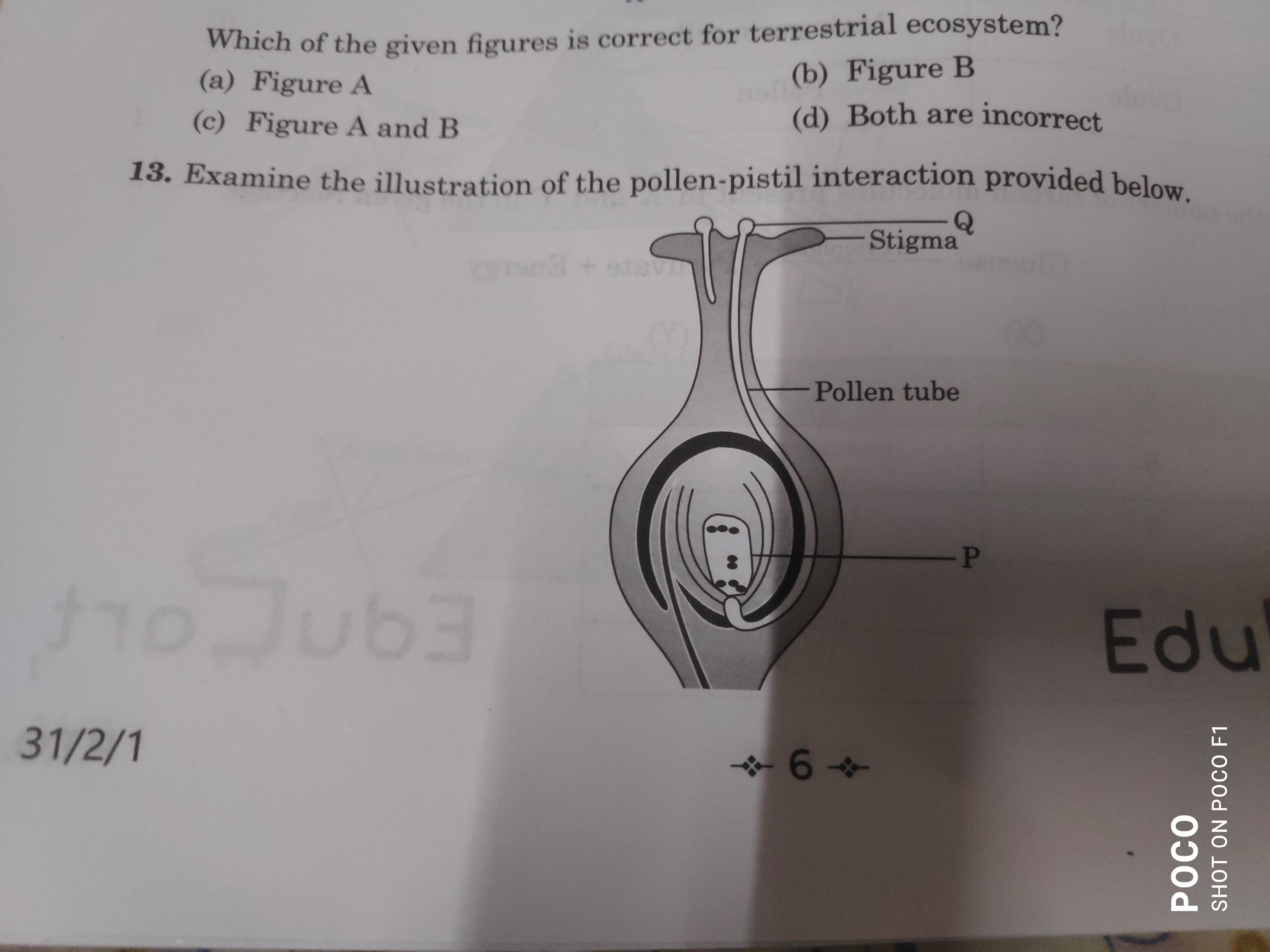 studyx-img