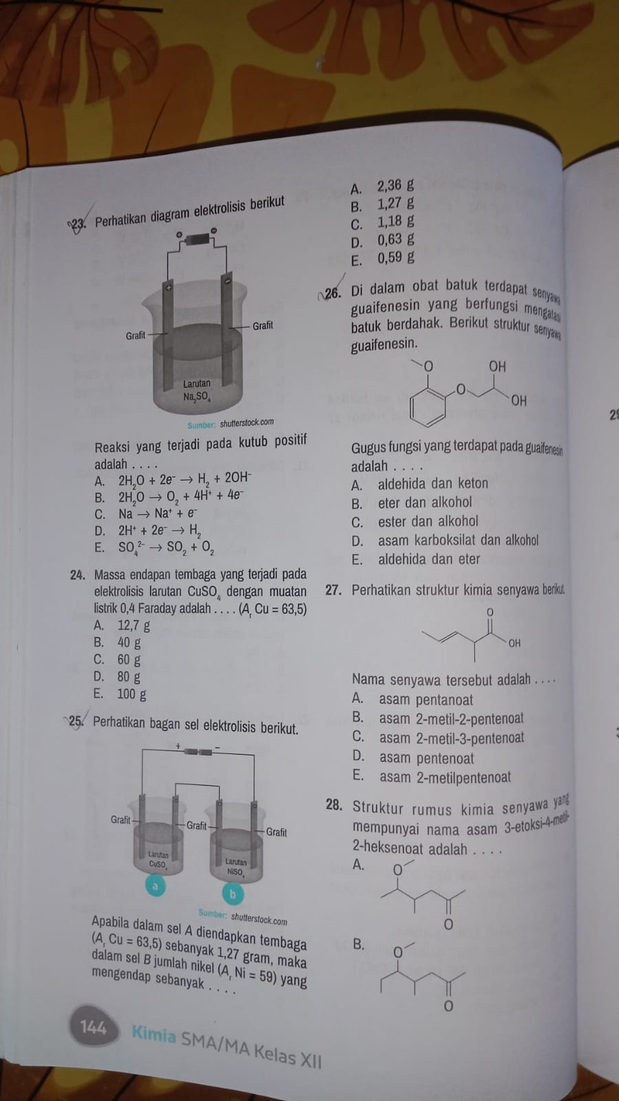 studyx-img