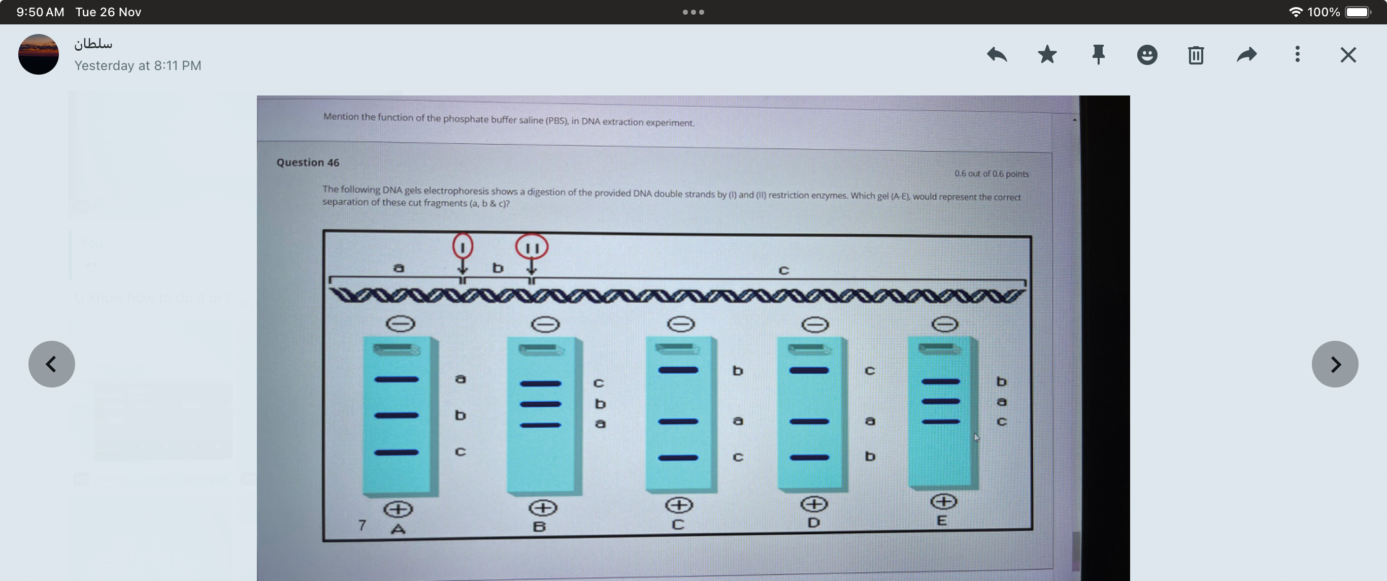 studyx-img