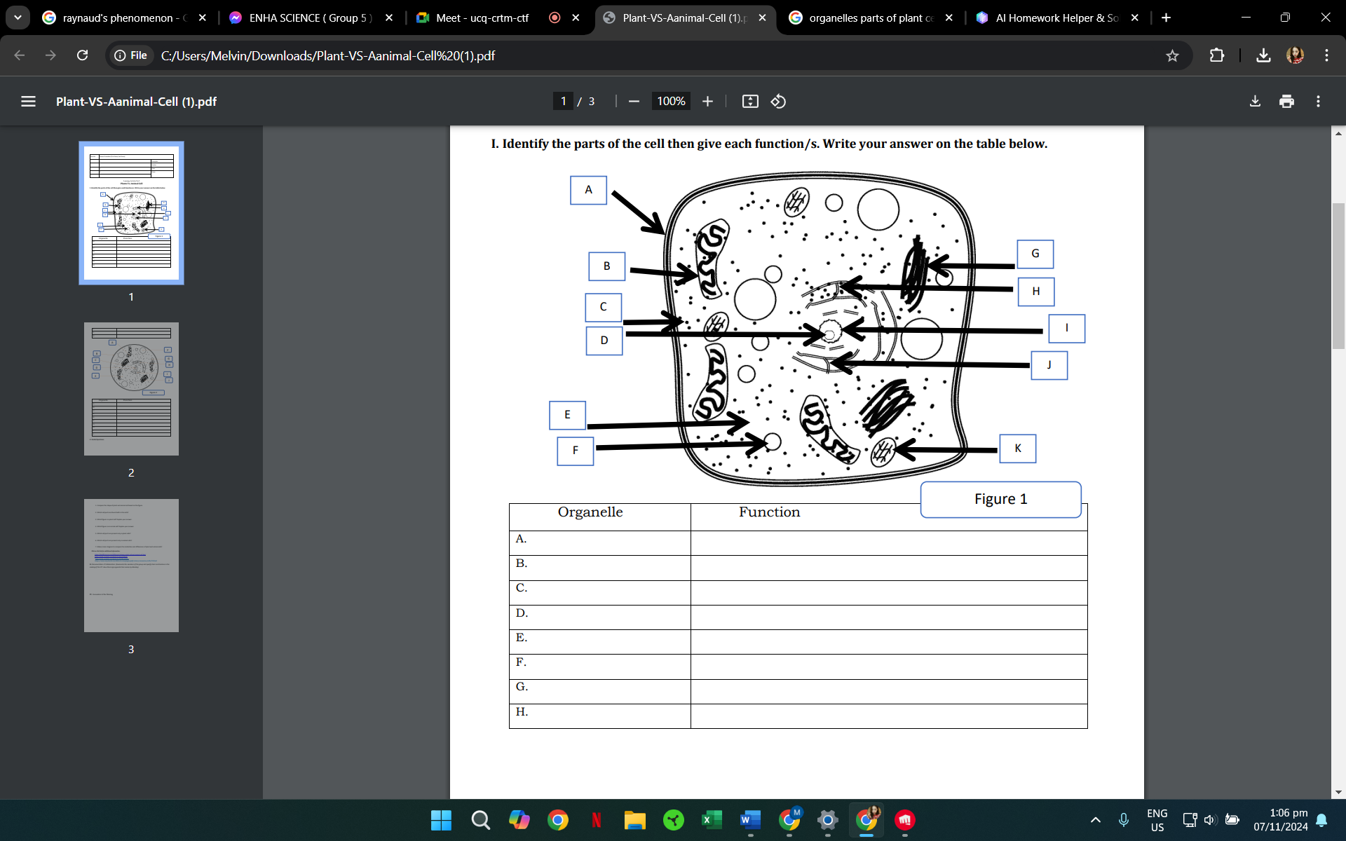 studyx-img