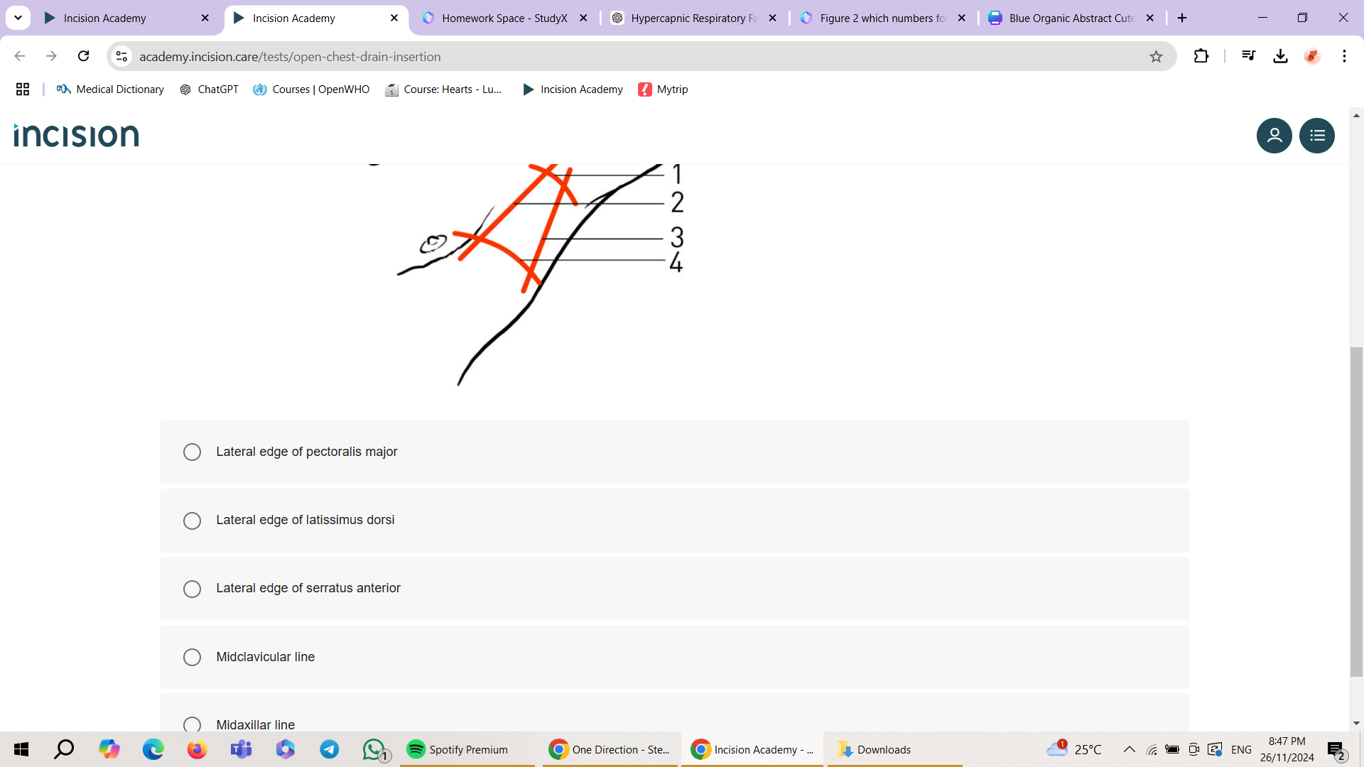 studyx-img