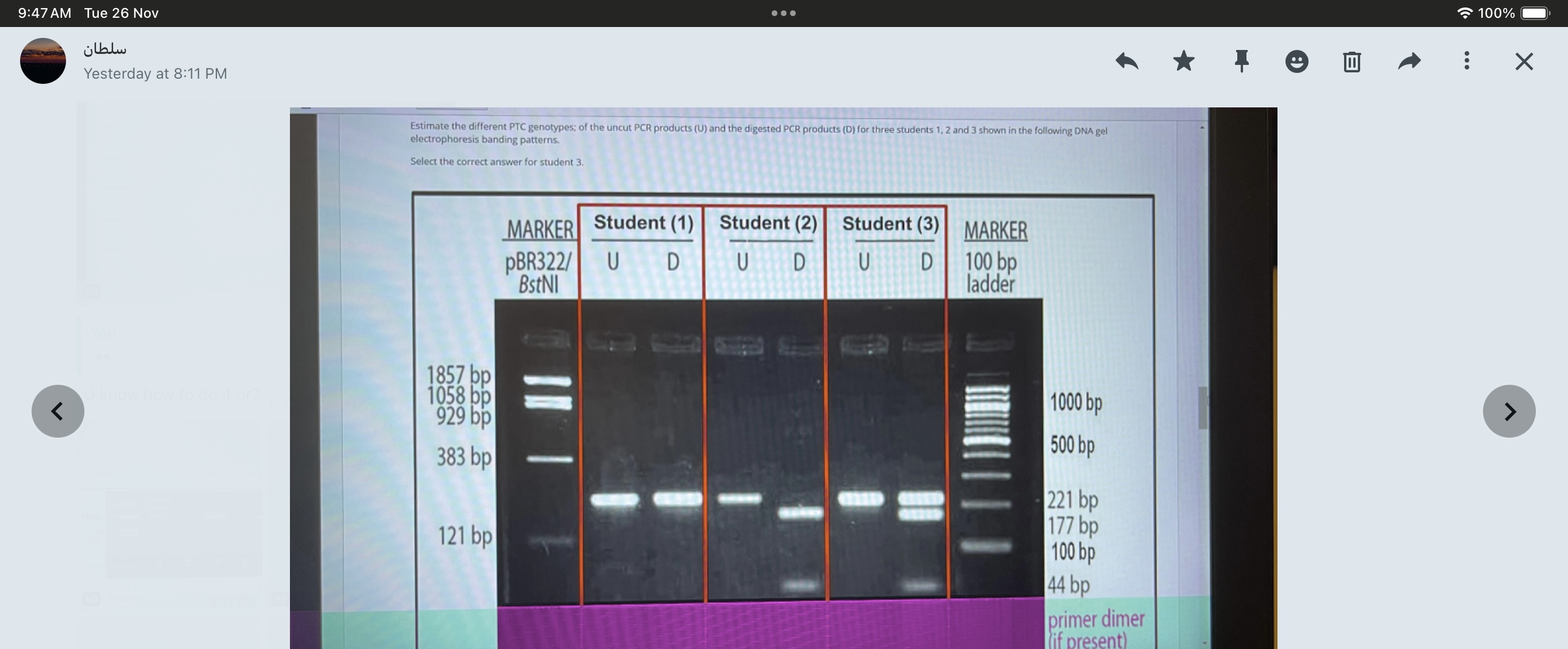 studyx-img