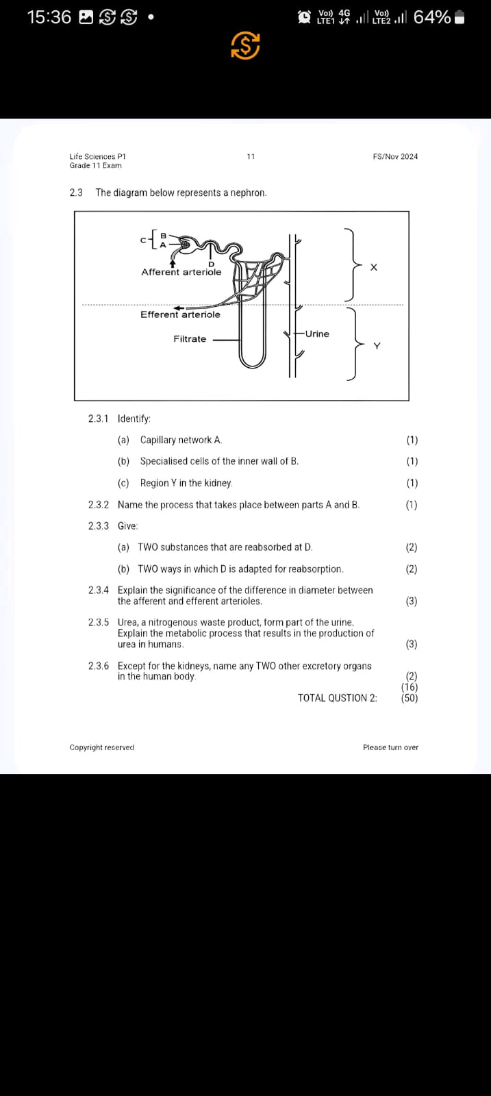 studyx-img