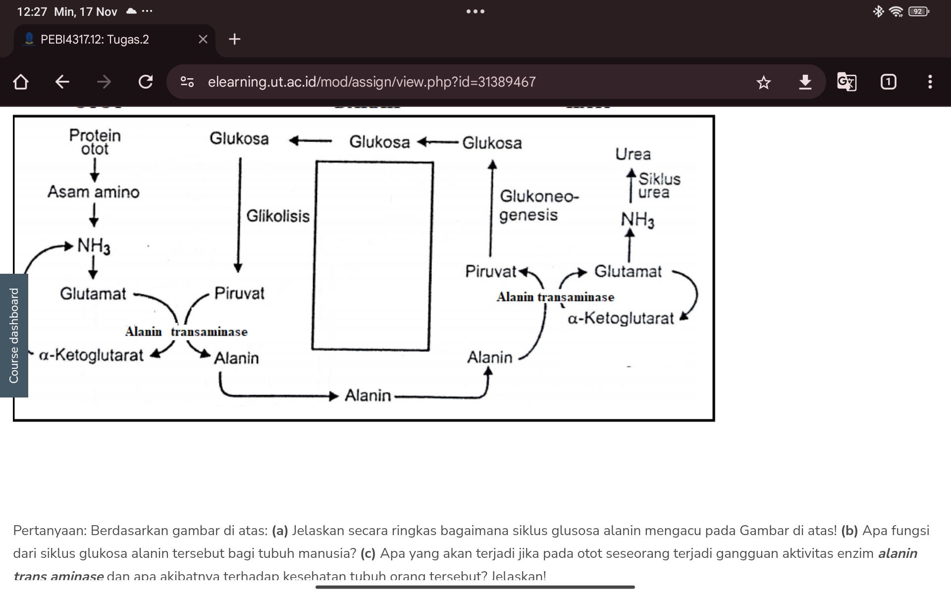 studyx-img