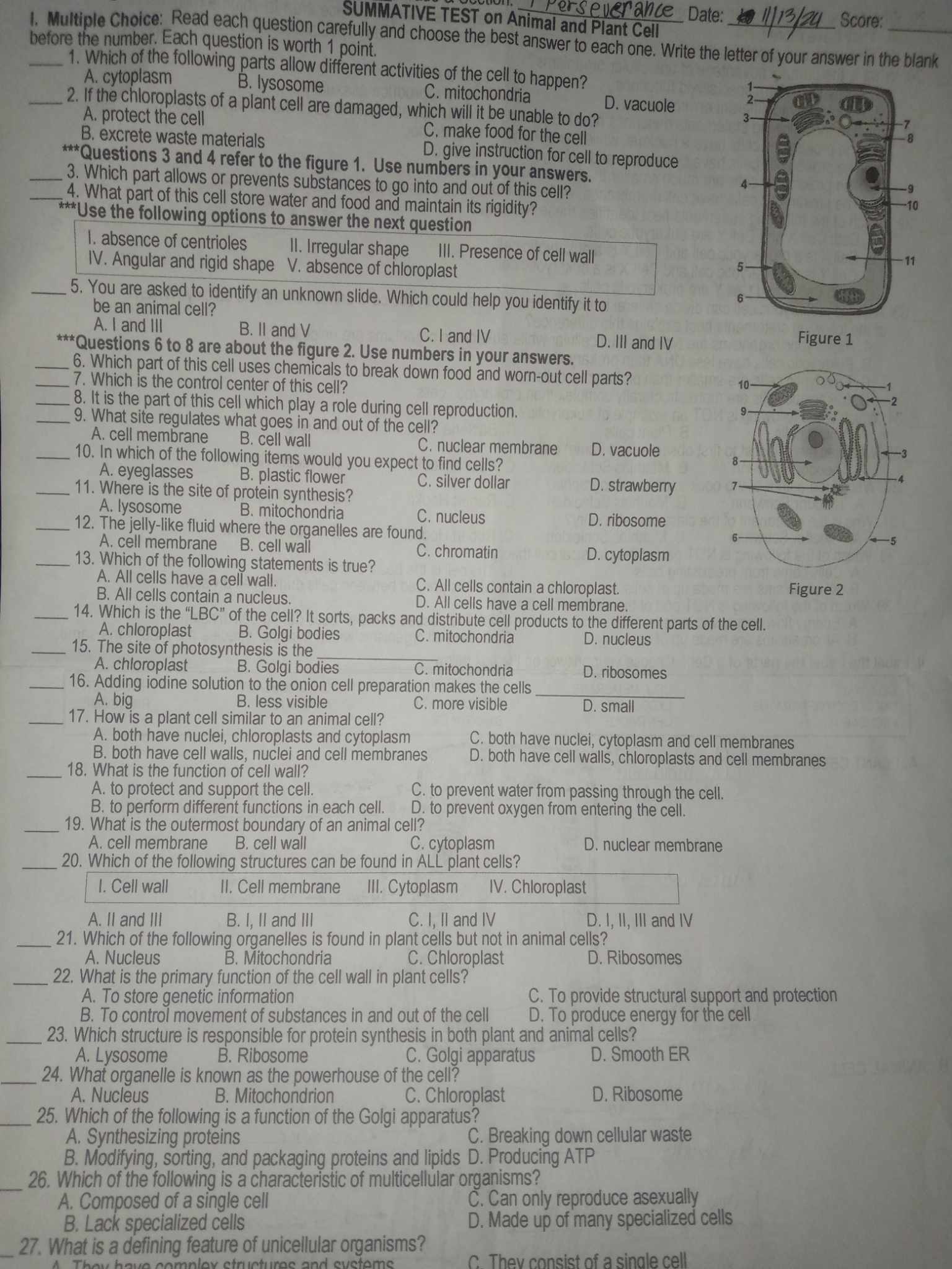 studyx-img