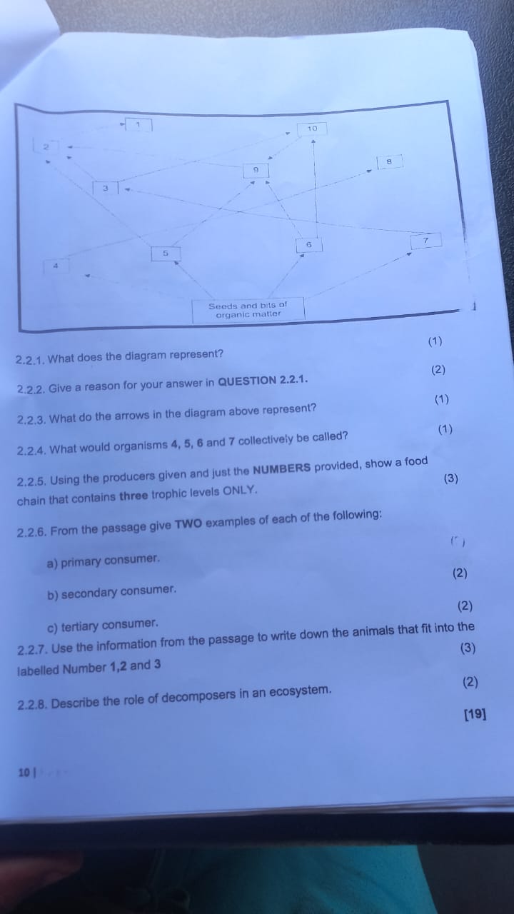 studyx-img