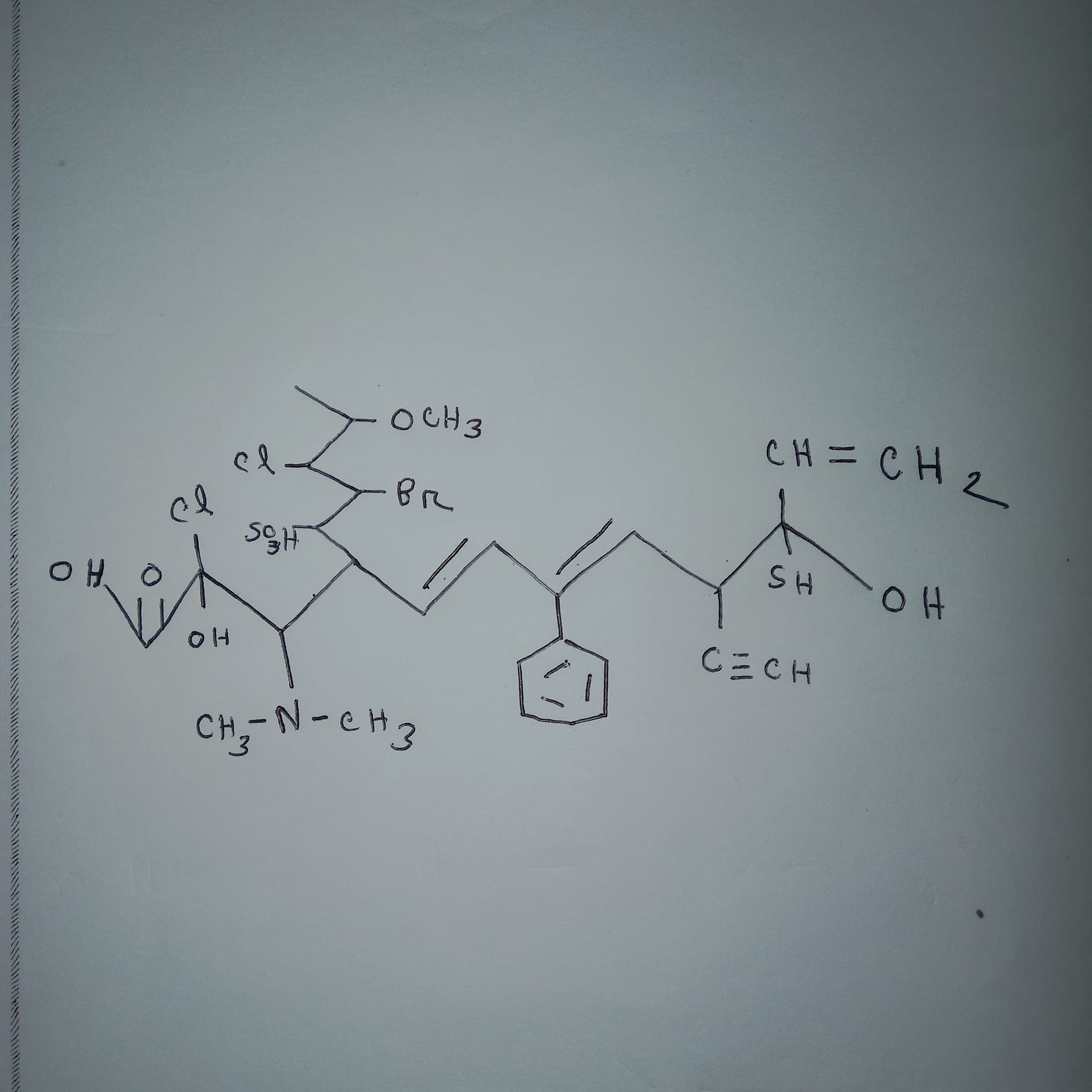 studyx-img