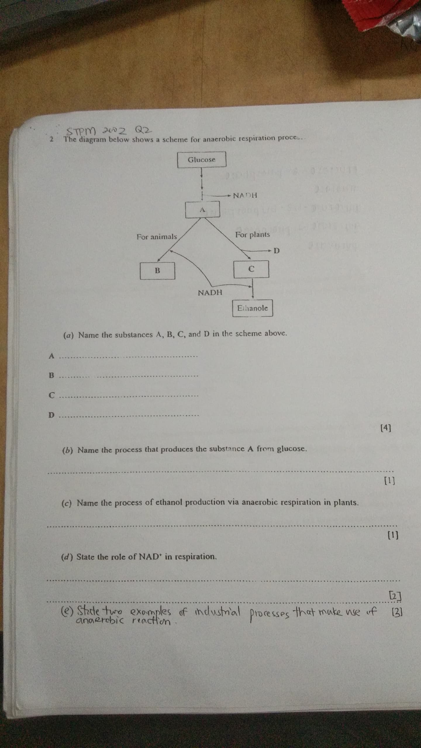 studyx-img