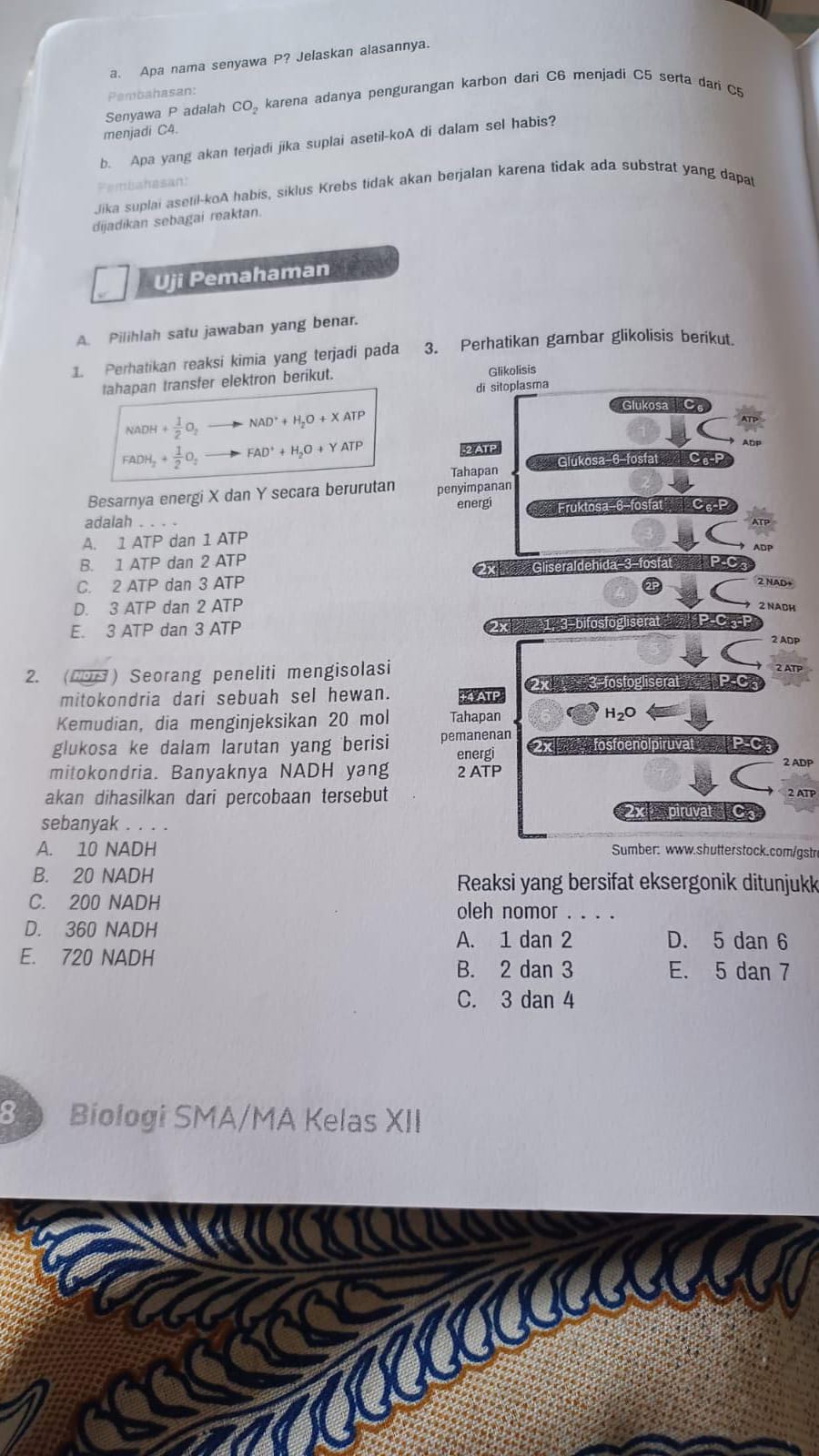 studyx-img