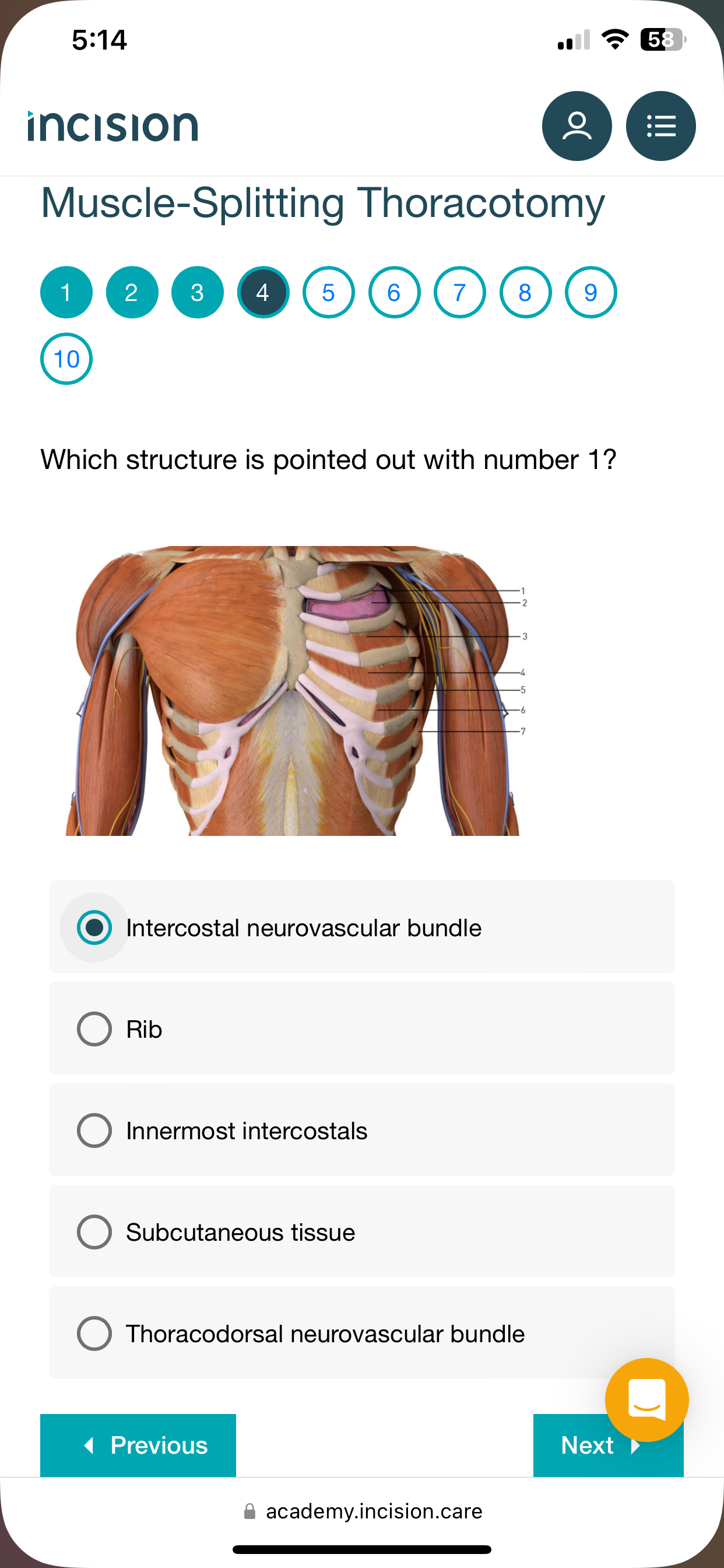 studyx-img