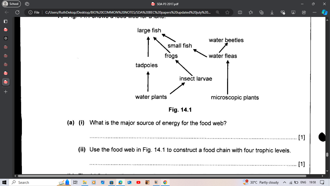 studyx-img