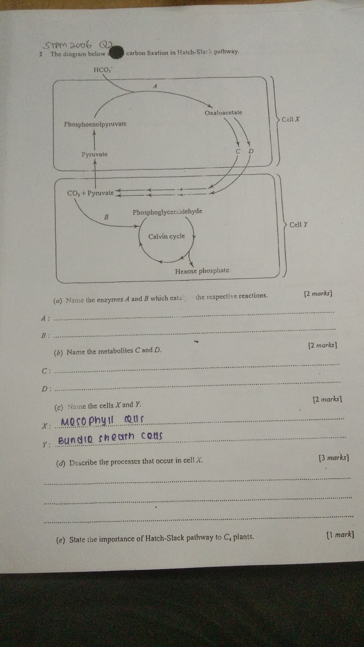 studyx-img