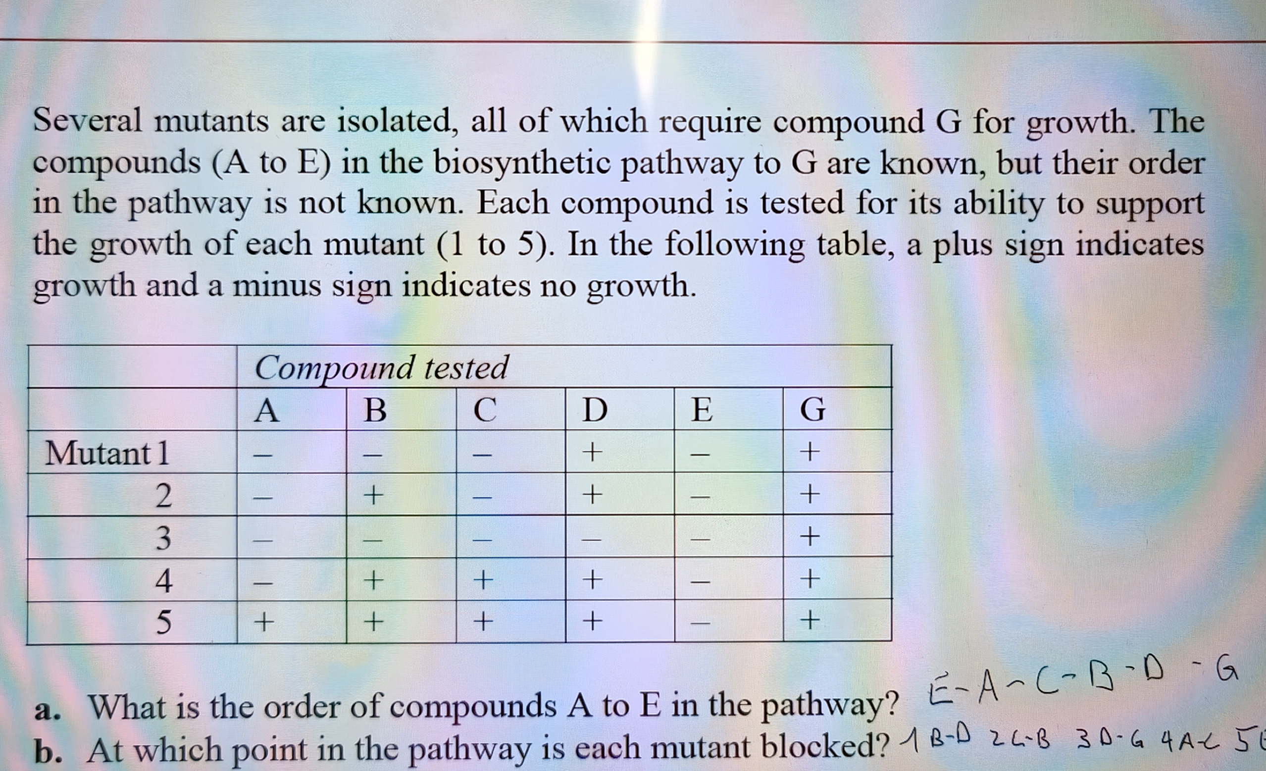 studyx-img