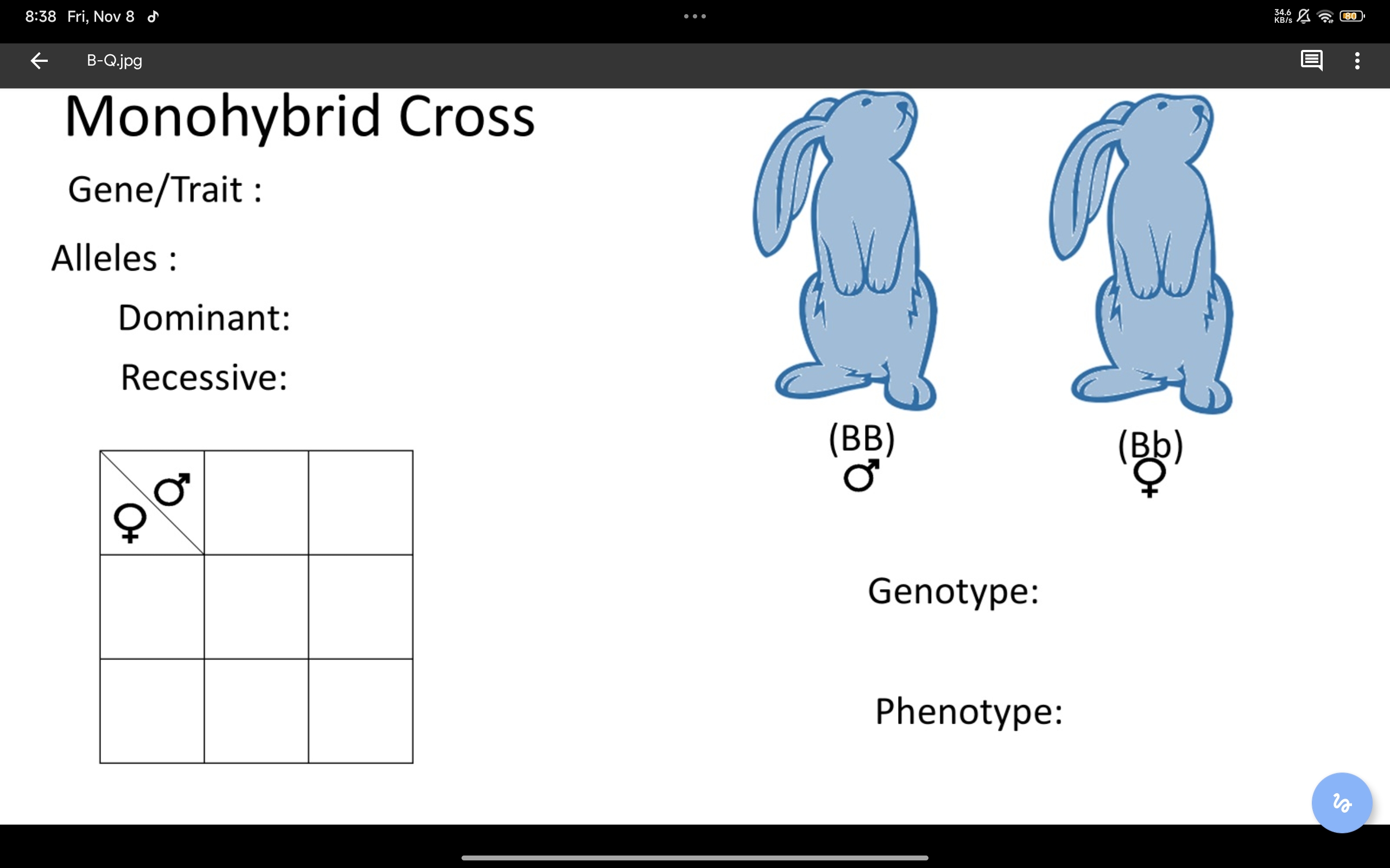 studyx-img