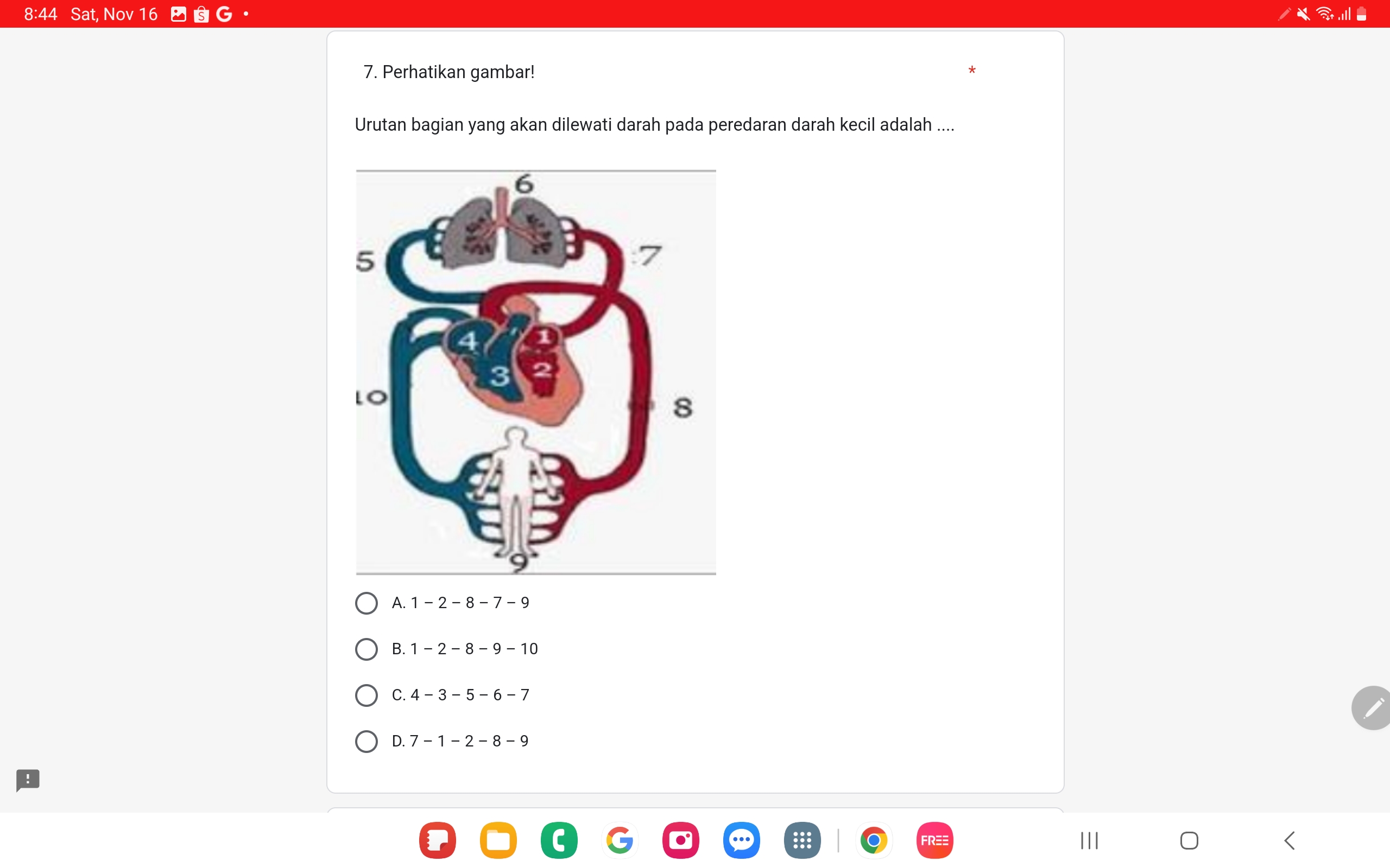 studyx-img