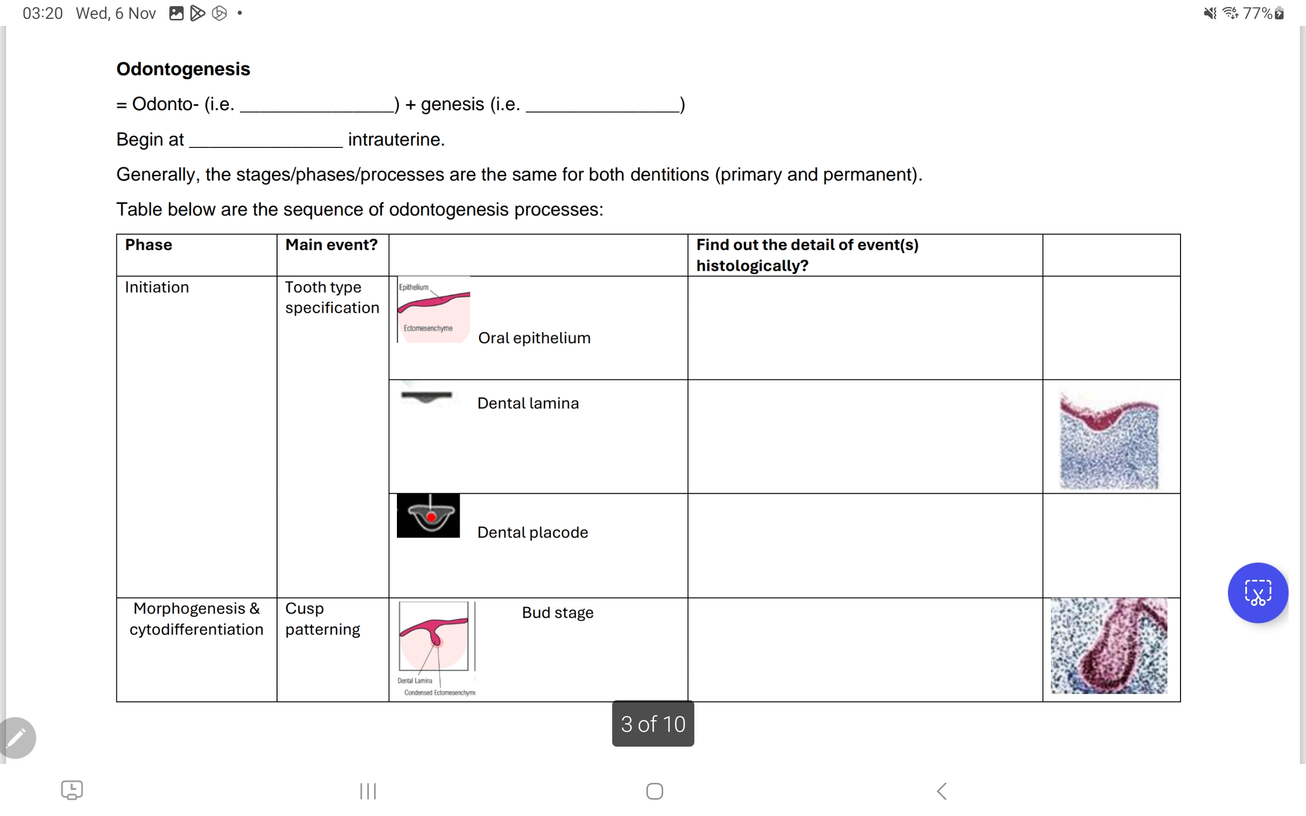 studyx-img