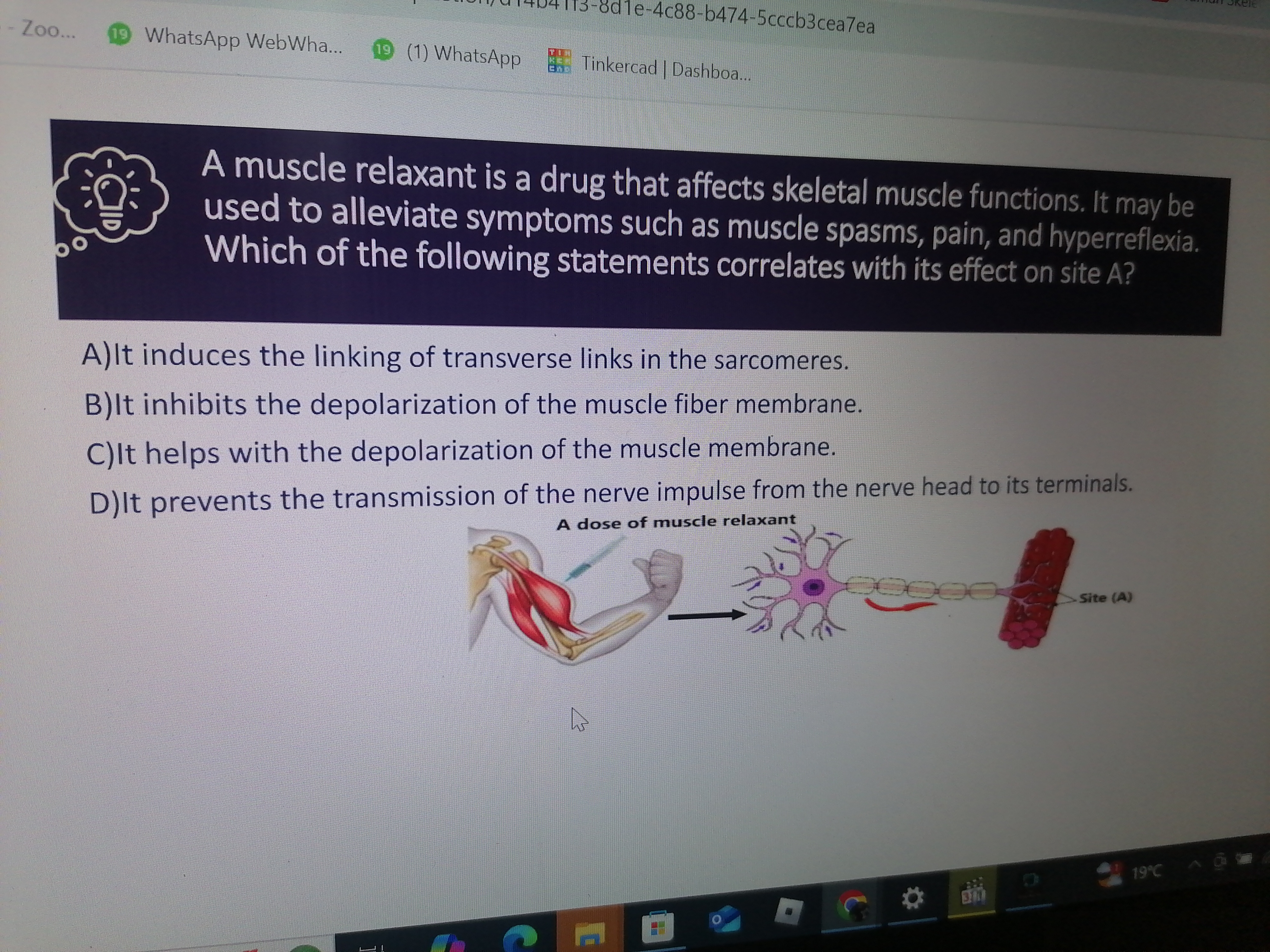 studyx-img