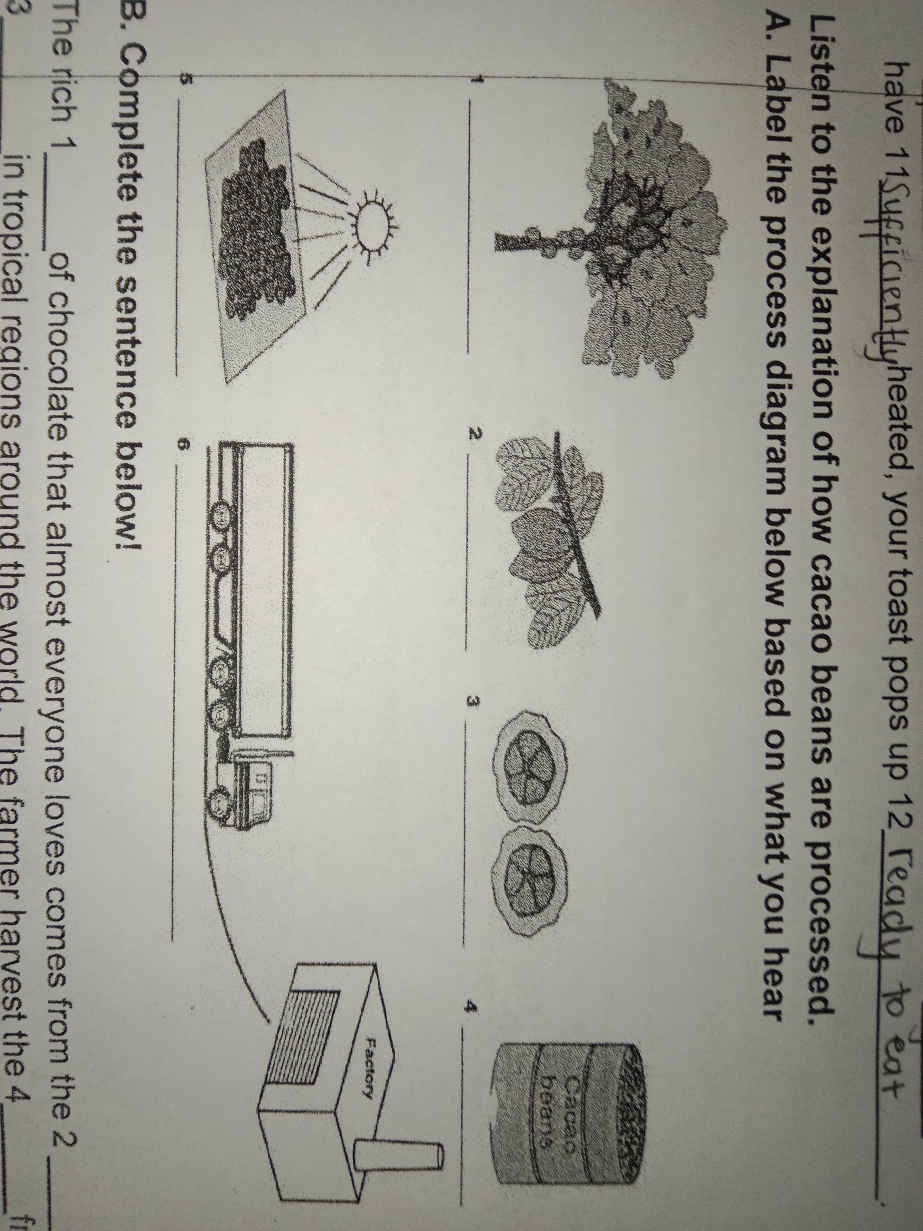 studyx-img